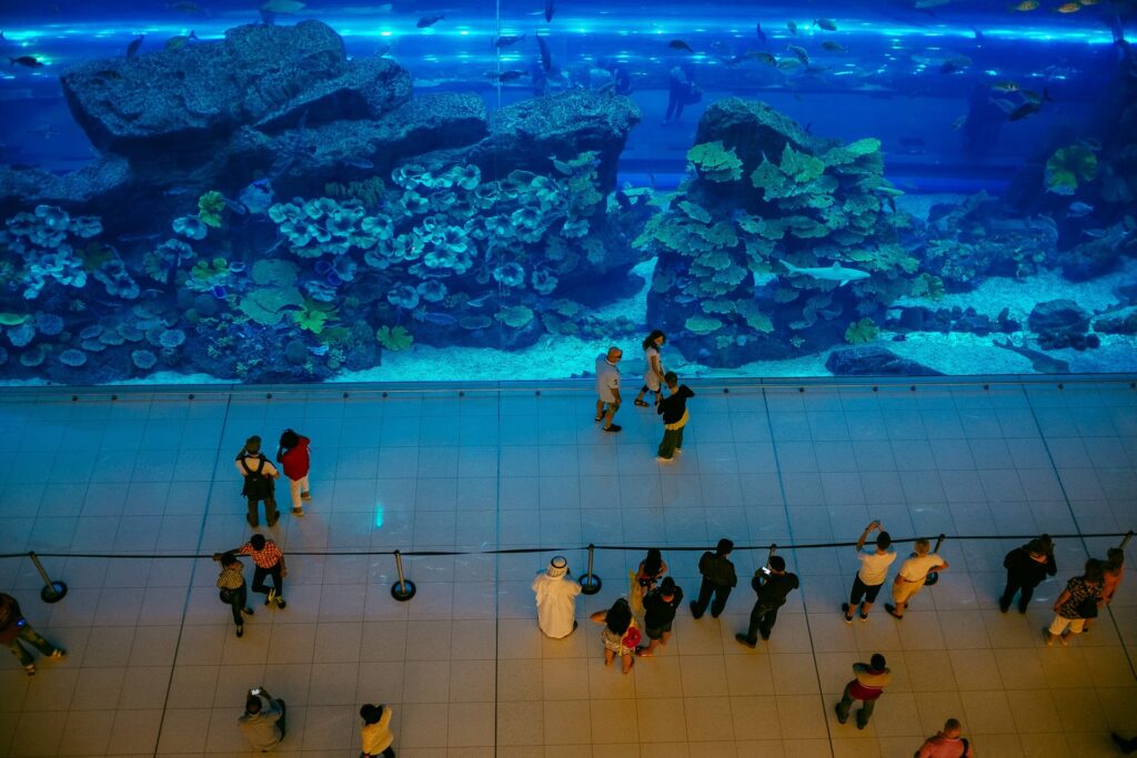 Acquario Dubai Mall (Dubai Aquarium)