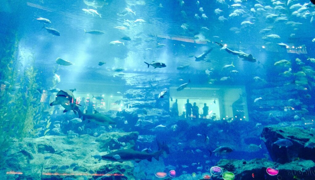 Acquario Dubai Mall (Dubai Aquarium)