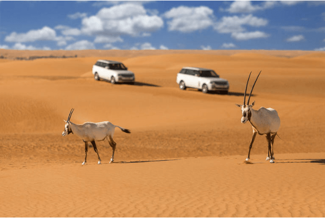 safari nel deserto a Dubai